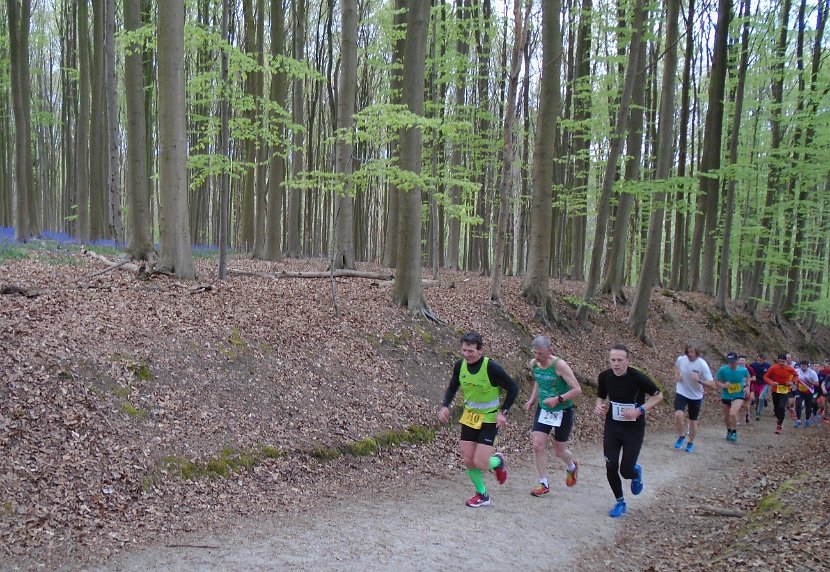 Hyacintenjogging 2016 - 075